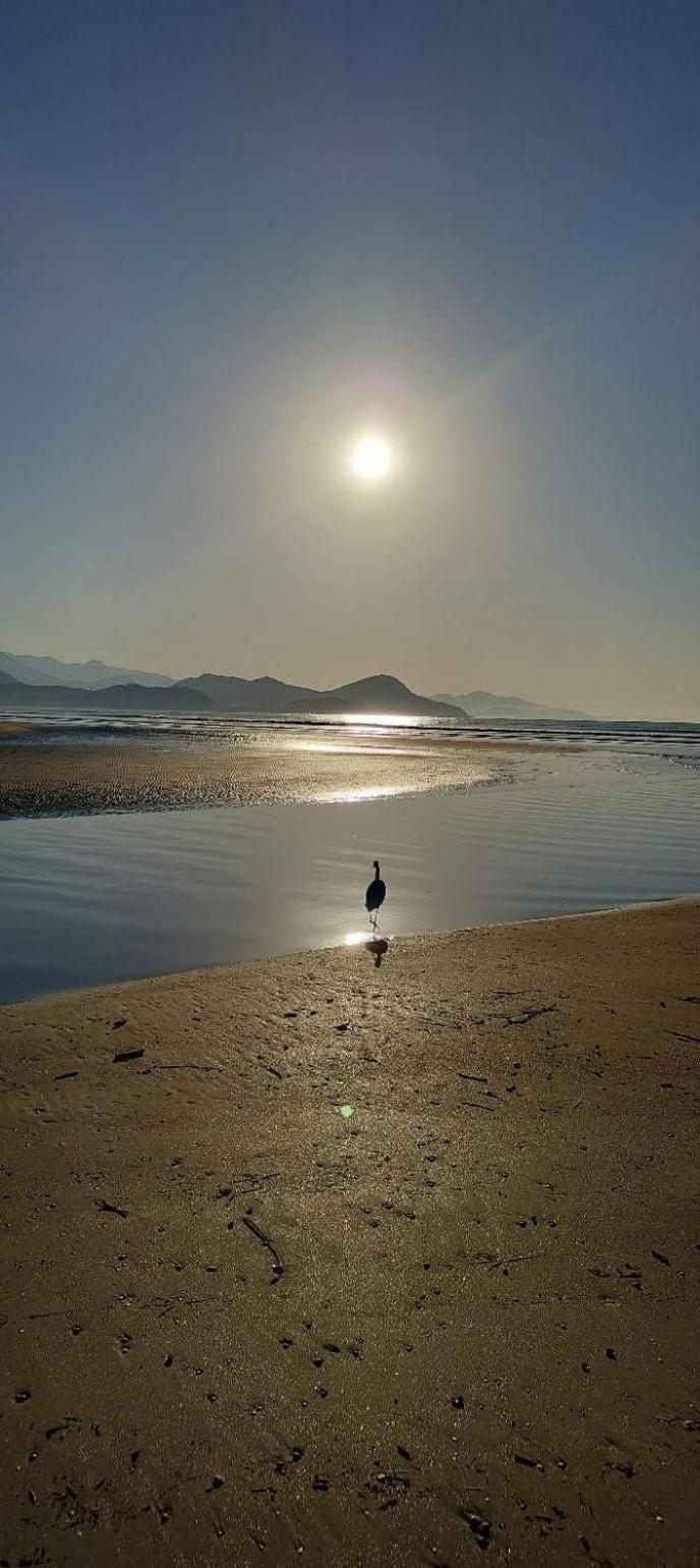 Descanso E Aconchego Massaguacu カラグァタトゥバ エクステリア 写真